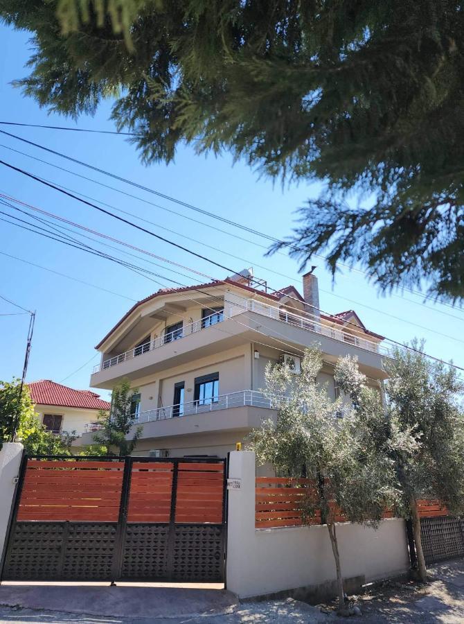 The Olive View Apartment By Ceni, Ελβασάν Εξωτερικό φωτογραφία
